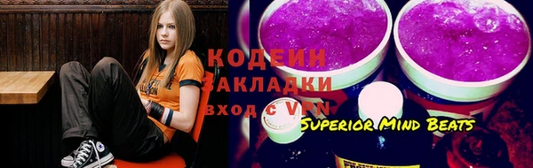 прущие грибы Алзамай
