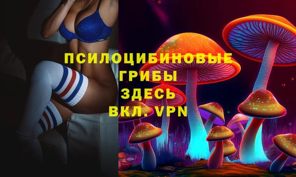прущие грибы Алзамай
