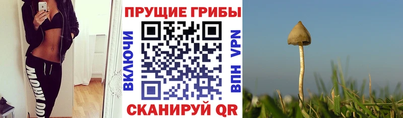 Галлюциногенные грибы мухоморы  ОМГ ОМГ ТОР  Старая Купавна 