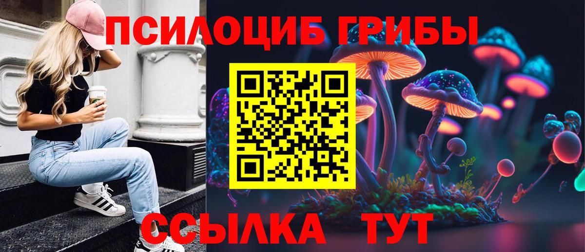 Старая Купавна  купить   Вход с VPN  Галлюциногенные грибы Psilocybine cubensis 