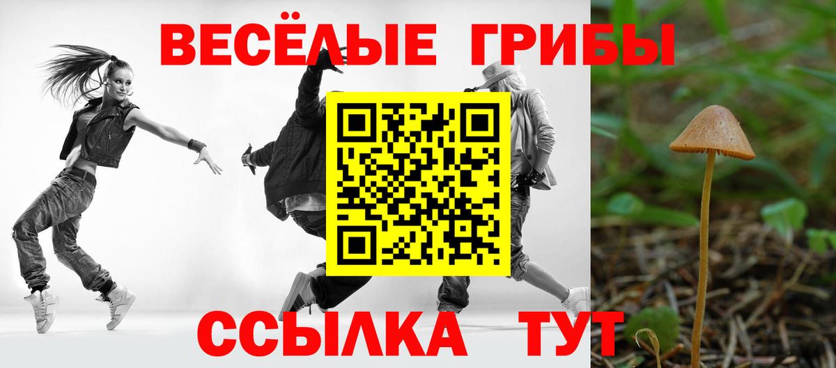 Псилоцибиновые грибы GOLDEN TEACHER Старая Купавна