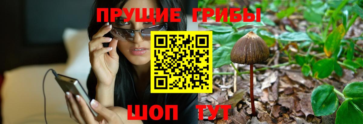 ГАШИШ  Кокаин  Старая Купавна  МЕФ   Лсд 25  Вход с VPN  МЕТАМФЕТАМИН  Бошки Шишки 