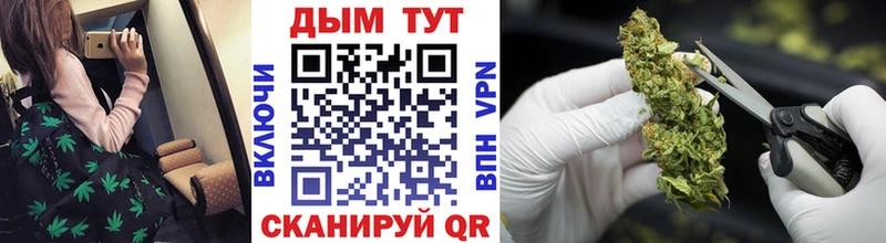 купить   Старая Купавна  Конопля SATIVA & INDICA 